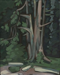 PorpoiseBay-tree2