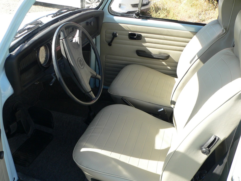 beetle interior