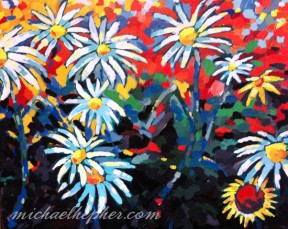 daisies-20x16-550px
